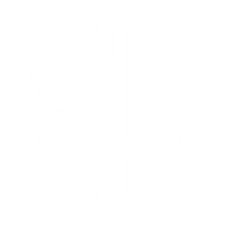 Protective Coating Icon