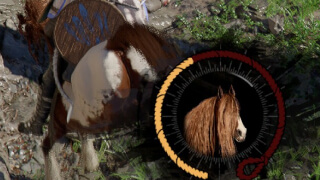 Taming Horses in Crimson Desert: Best Horse To Tame & Mount Taming Guide