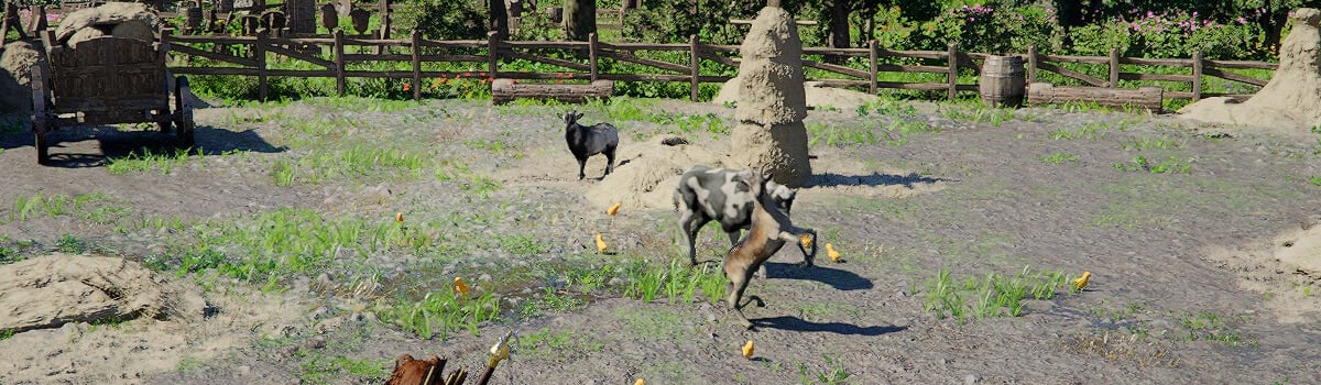 Crimson Desert Greymane Camp Guide: How to Upgrade and Manage Your Camp