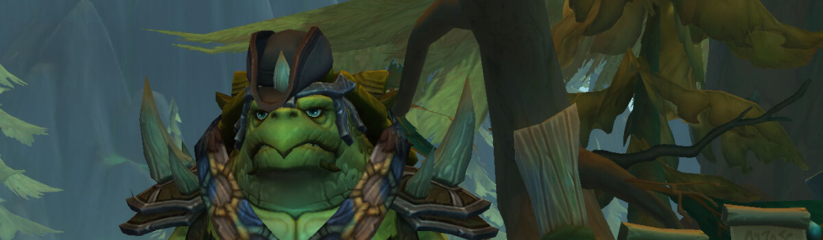 Captain Tokka Reputation Guide for WoW Midnight