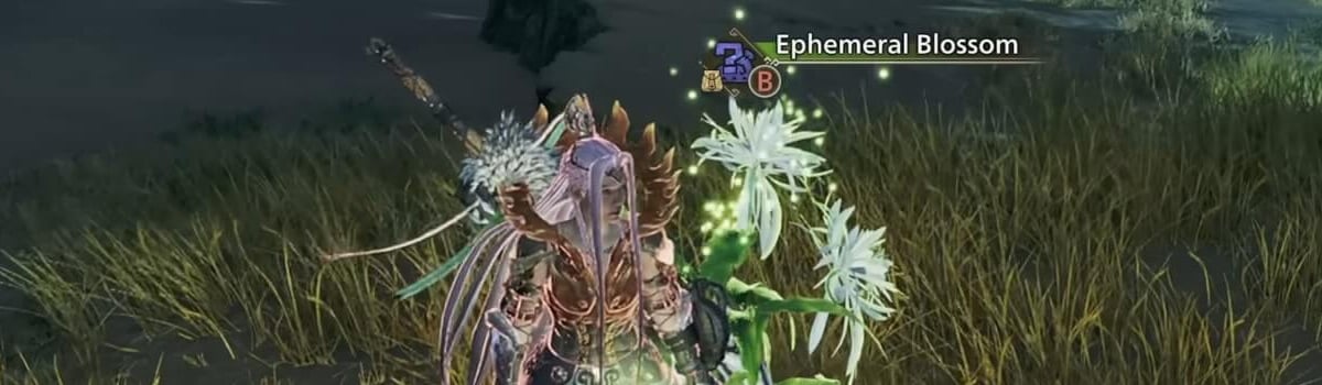 Nightflower Pollen in Monster Hunter Wilds - How To Get It
