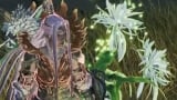 Nightflower Pollen in Monster Hunter Wilds - How To Get It