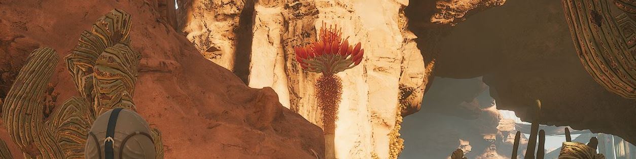 Where to Find Agave Seeds for Iodine Pills in Dune Awakening