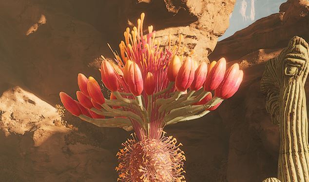 Where to Find Agave Seeds for Iodine Pills in Dune Awakening