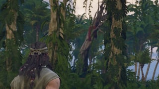 Where To Find The Second Chest At the Traveler's Camp in Windrose (Twist of Fancy)  thumbnail