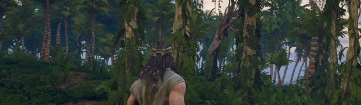 Where To Find The Second Chest At the Traveler's Camp in Windrose (Twist of Fancy) 