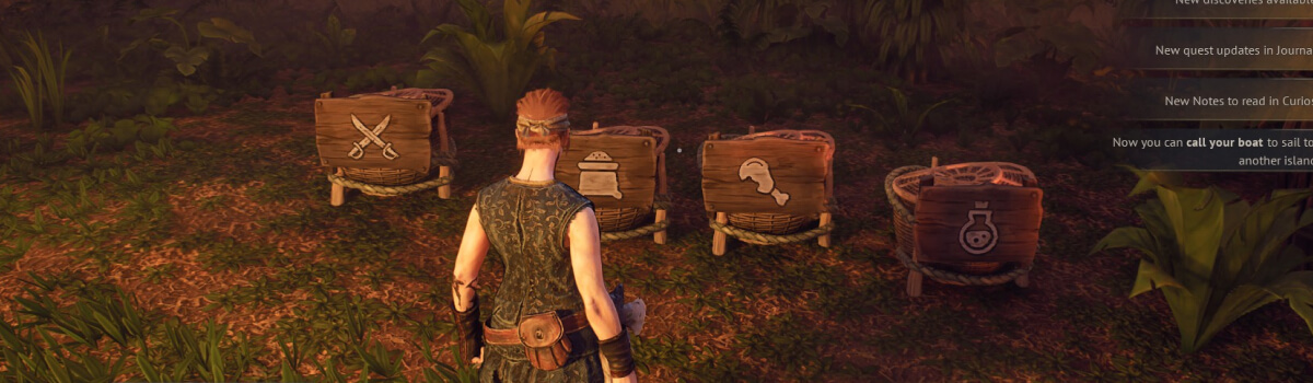 Windrose Storage Solutions - Can you Build From Storage & How To Increase Your Inventory Size