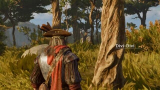 All Foothills Resources in Windrose: Where To Find Divi-Divi Trees (Hardwood), Flax Fibers & More thumbnail