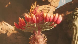 Where to Find Agave Seeds for Iodine Pills in Dune Awakening