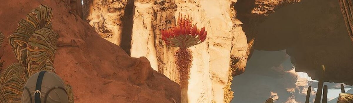 Where to Find Agave Seeds for Iodine Pills in Dune Awakening