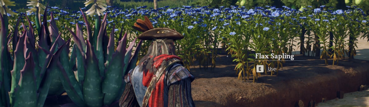 Farming In Windrose: How It Works & What Seeds You Should Plant