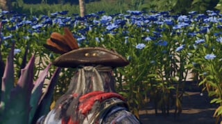Farming In Windrose: How It Works & What Seeds You Should Plant