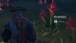 All Cursed Swamp Resources in Windrose: Tarred Planks & Fabric, Quagmire Powder & More thumbnail