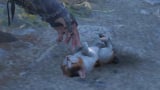 How to Access Cat Island in Assassin's Creed Shadows