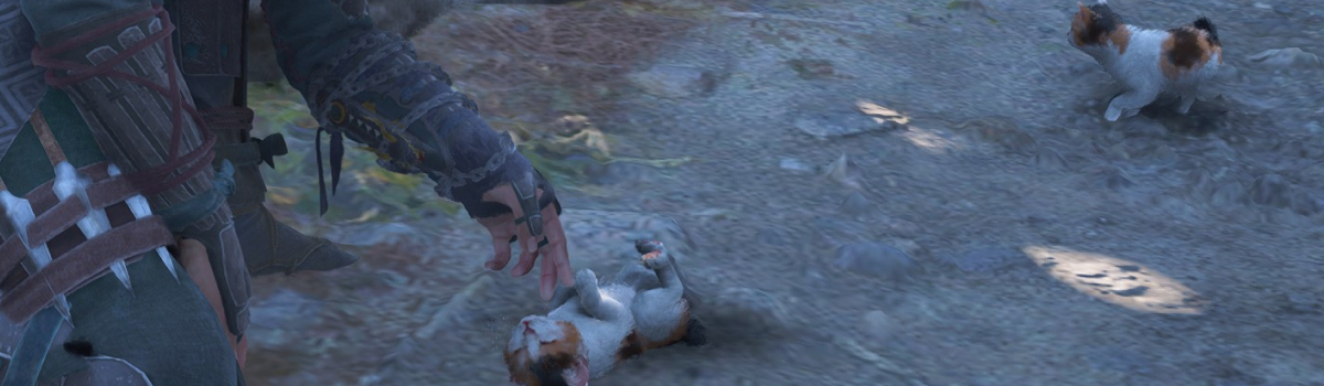 How to Access Cat Island in Assassin's Creed Shadows