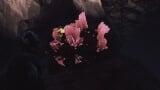 Where to Find and Farm Erythrite Crystals in Dune Awakening thumbnail