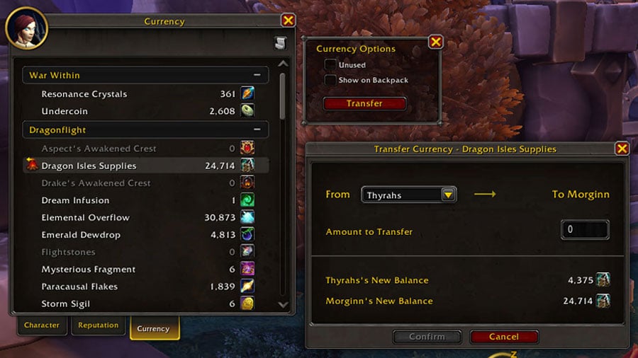 Overview of the Warband Currency System