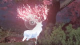 All Legendary Sumi-e Locations in Assassin's Creed Shadows (Rare Occurrence Trophy and Achievement)