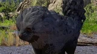 Abyss Heuklang - How to Tame the Cute Black Chimera Pet in Crimson Desert thumbnail