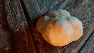 Crimson Desert Fleece Guide: How to Get and Use Fleece