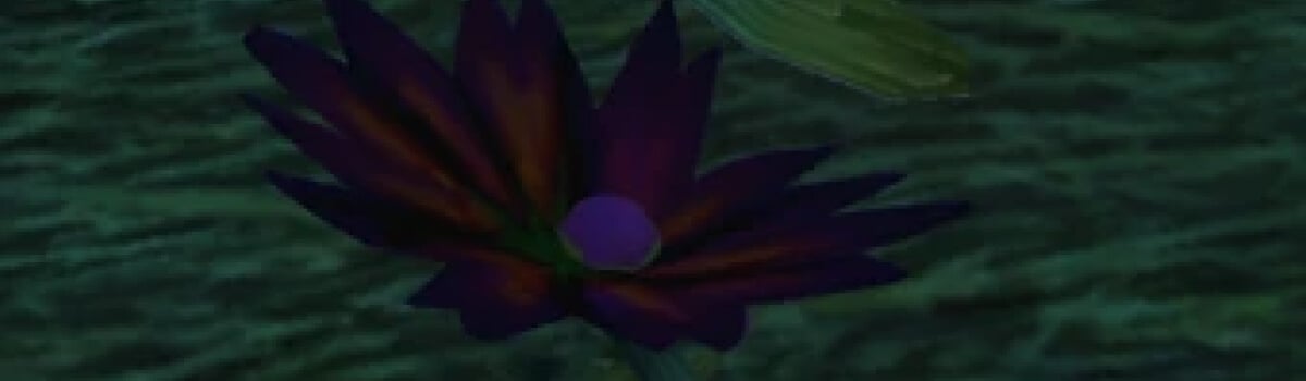 Best Black Lotus Farming Routes for WoW Classic