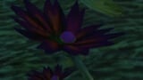 Best Black Lotus Farming Routes for WoW Classic