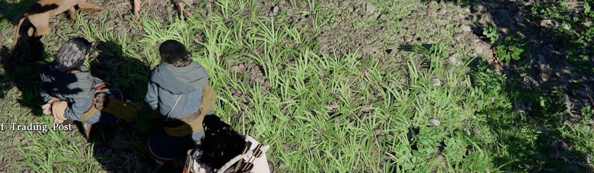 How to Complete To The Rescue: The Infinite Quest