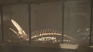 Deep Desert Testing Station Guide - The Museum