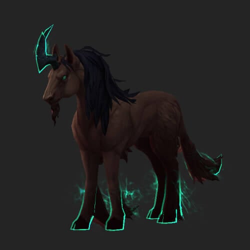 Turquoise Courser Mount