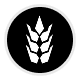Alexin House Icon