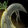 Uproot Icon