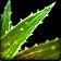 Spore Spines Icon