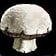 Mushroom Toss Mechanic Icon