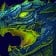 Blue Dragon Turtle Icon