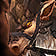 Ornery Breezestrider Icon