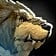 Taivan Icon