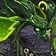 Feldruid's Scornwing Mount Icon