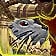 Otterworldly Ottuk Carrier Icon