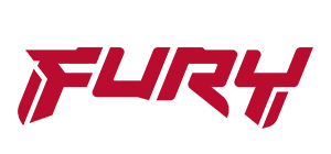 Kingston Brand Logo