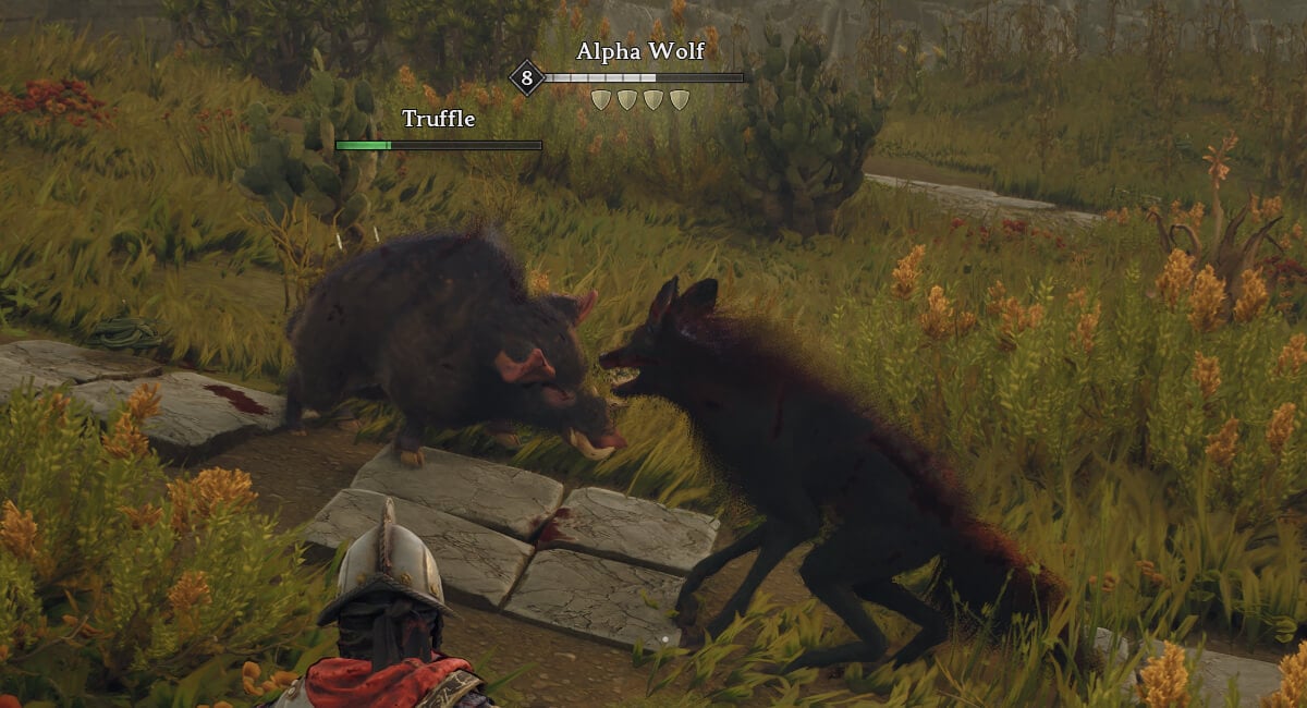 windrose how to get boar whistle crocodile whistle truffle combat