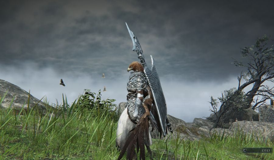 raider 1