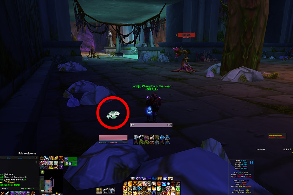 TBC Classic Ghost Mushroom