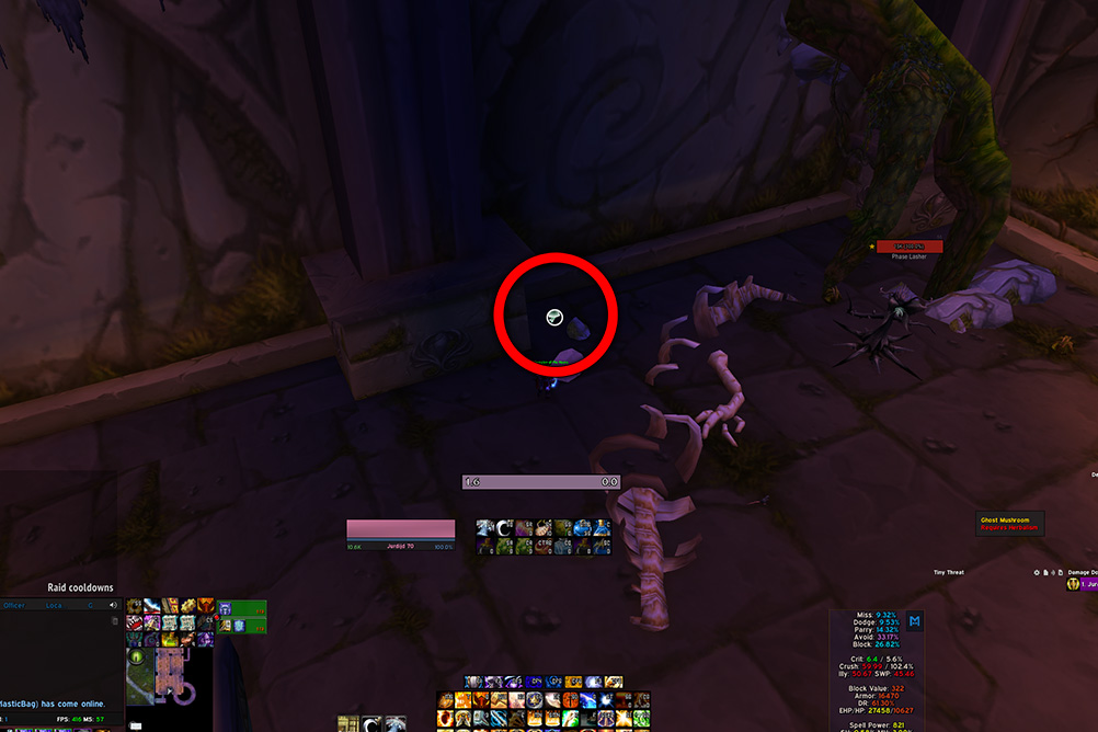 Dire Maul East Ghost Mushroom TBC Classic