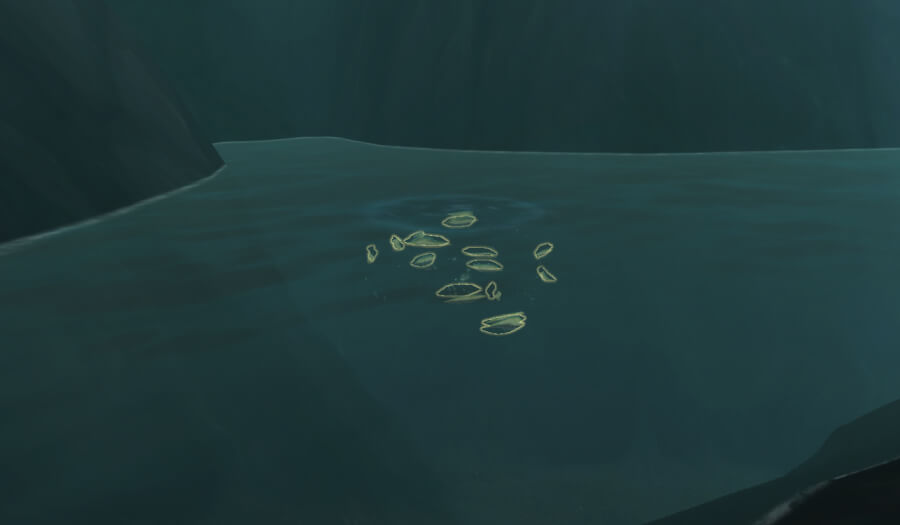 grisly morsel fish school
