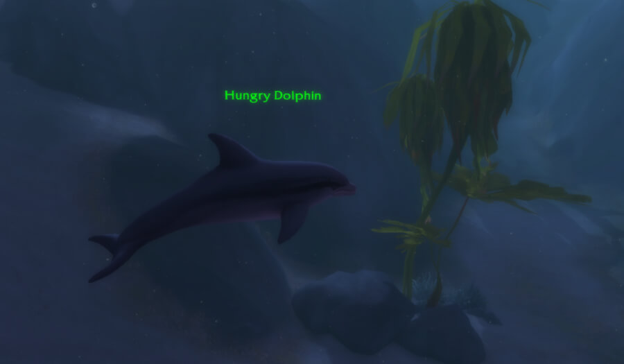 hungry dolphin