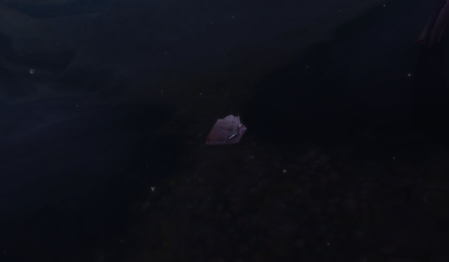 coiled isle treasure bubbling clam