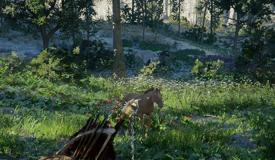 how to tame horses approach