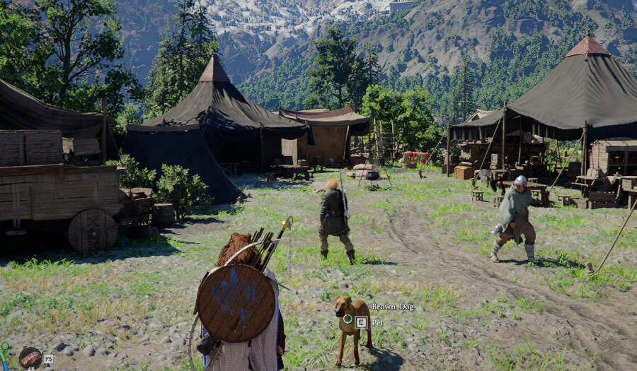 greymane camp guides overview