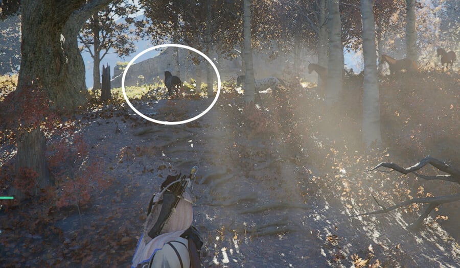 legendary horses rokade tame