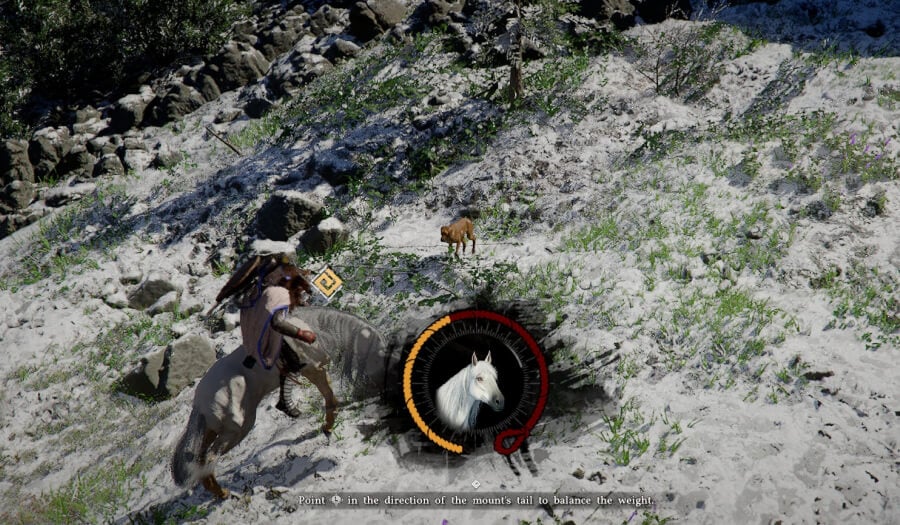 legendary horses royler tame